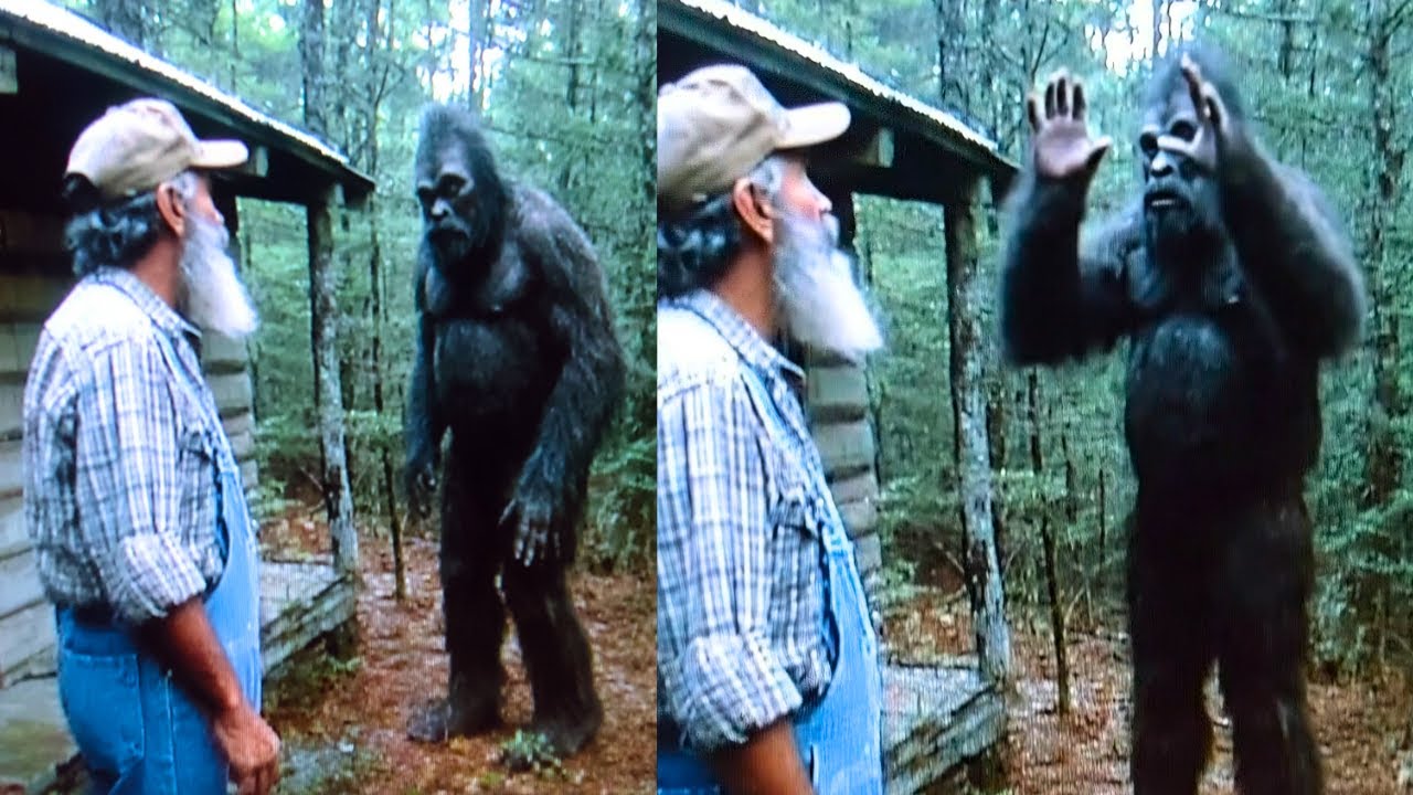 He Let Bigfoot Live on His Land for 30 Years, Then Learned Why They're Near Extinct –Sasquatch Story