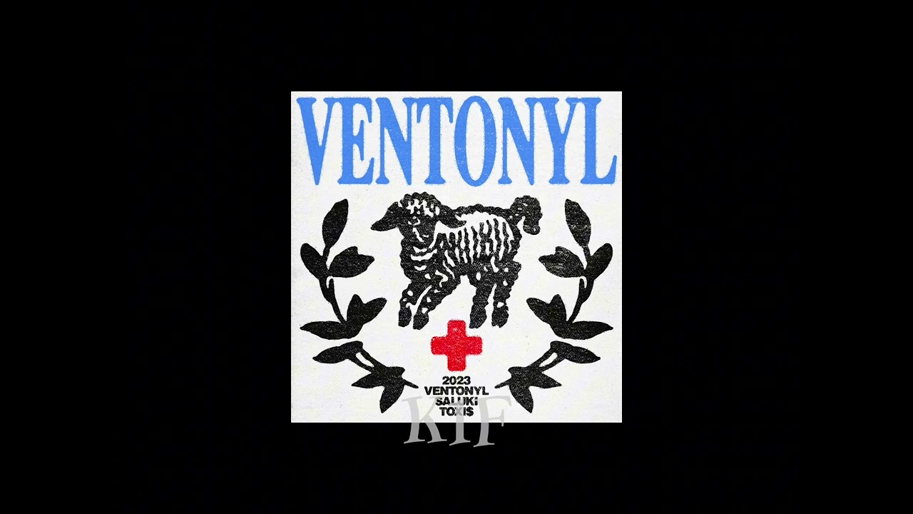 Saluki feat. Toxi$ - VENTONYL(speed up)