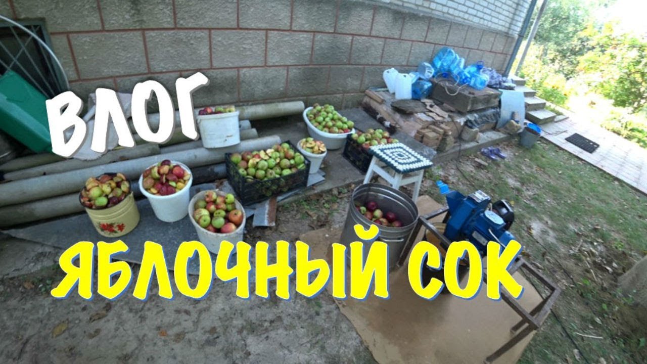 ВЛОГ: ДЕЛАЕМ ЯБЛОЧНЫЙ СОК