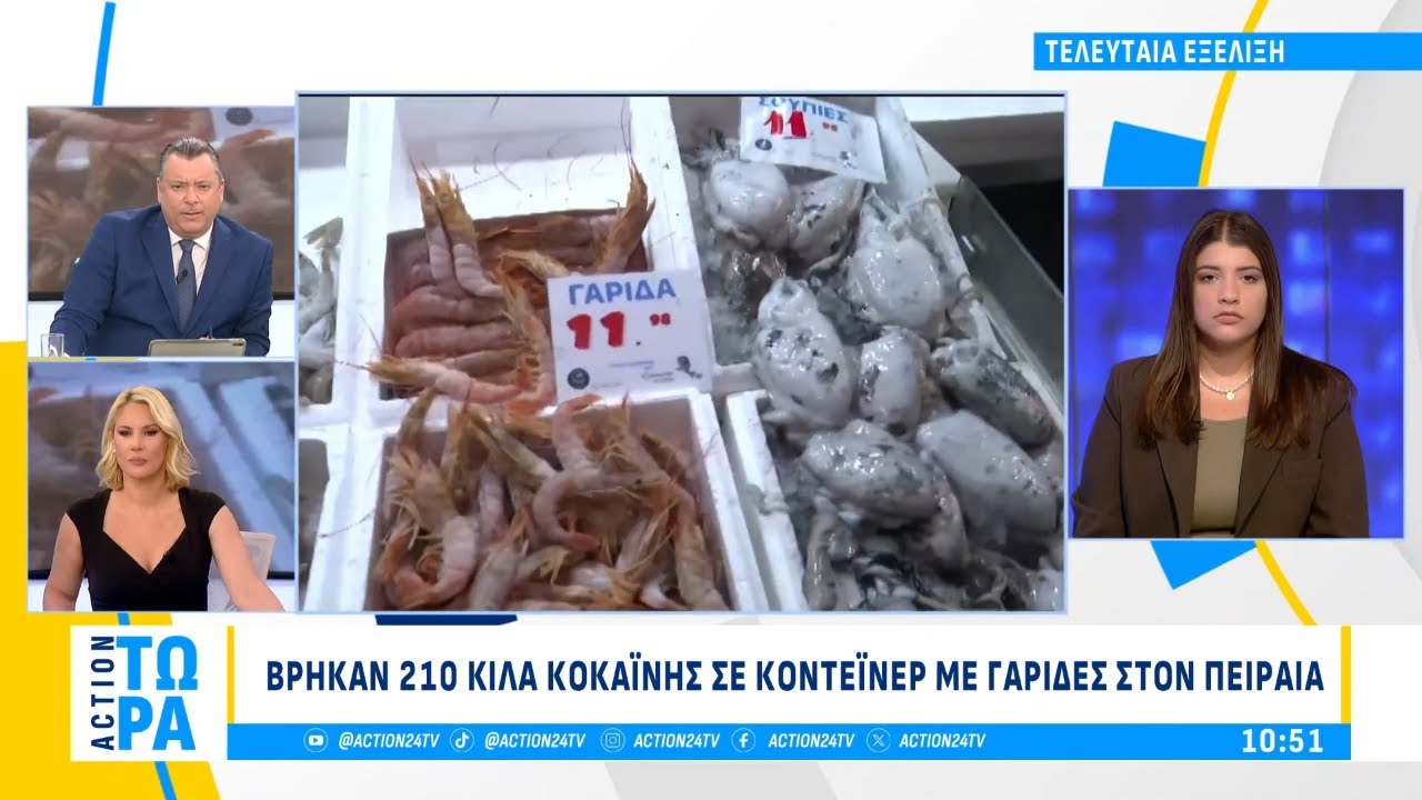Πειραιάς: Βρήκαν 210 κιλά κοκαΐνης σε κοντέινερ με γαρίδες | ACTION Τώρα | ACTION 24