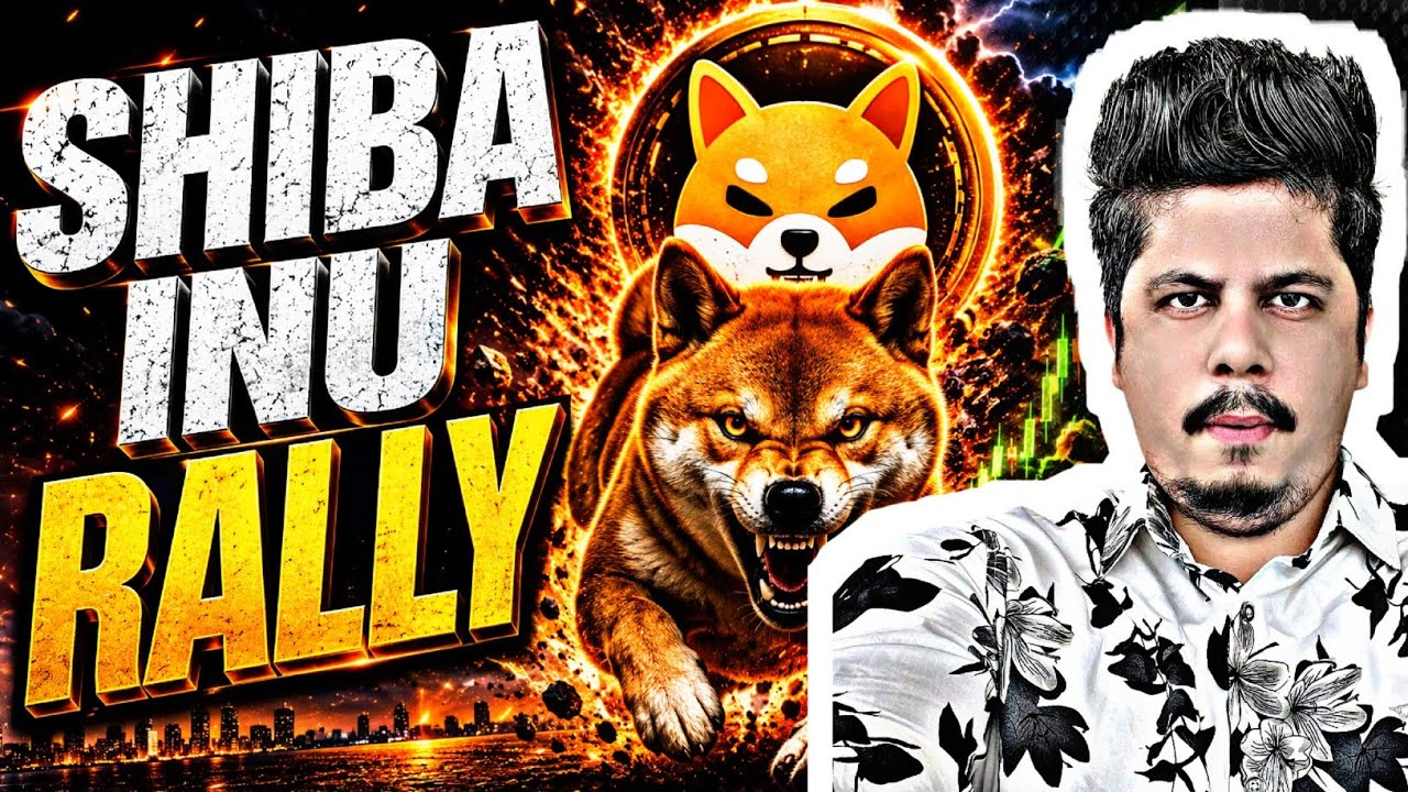 Shiba Inu Rally 