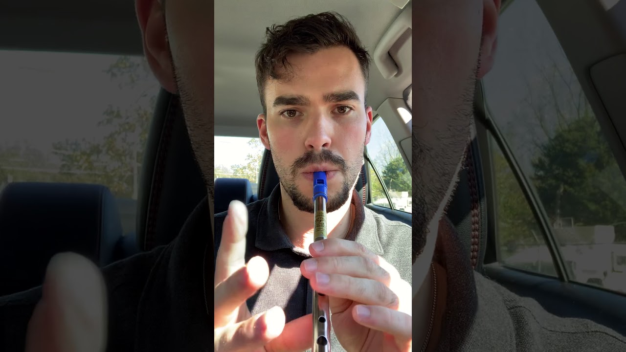 Saddle The Pony - Tin Whistle Jig