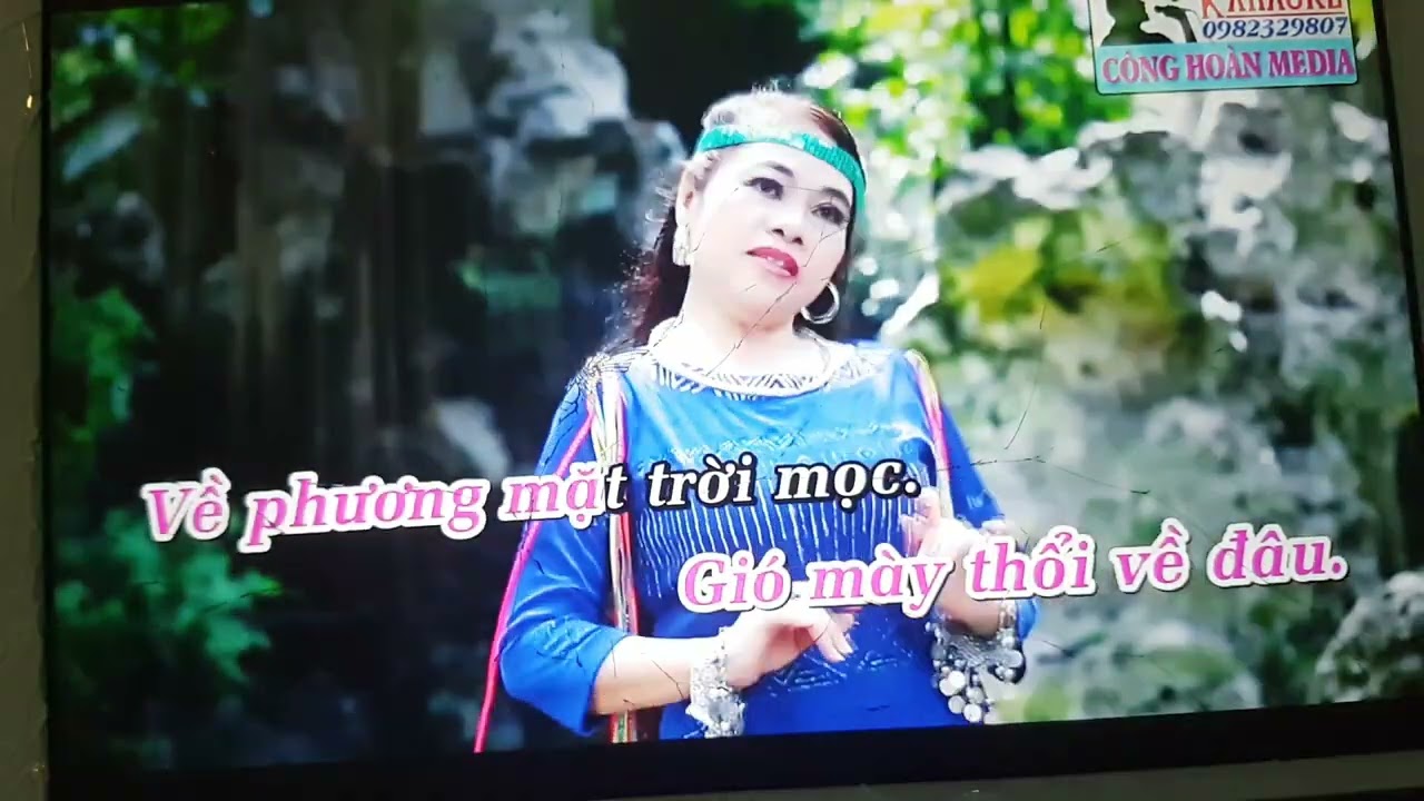 bóng cây khơ nia ( có loi)