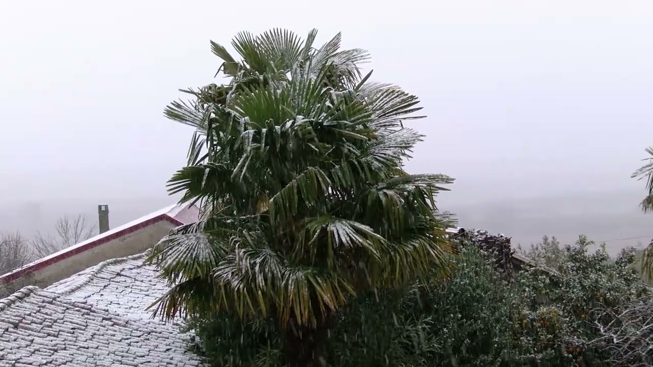 Cai neve em Castelãos