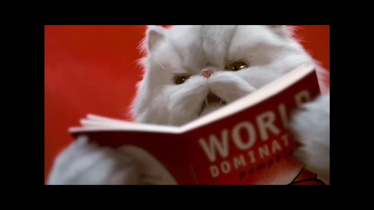 Comme Chiens et Chats - Discours de Tinkles