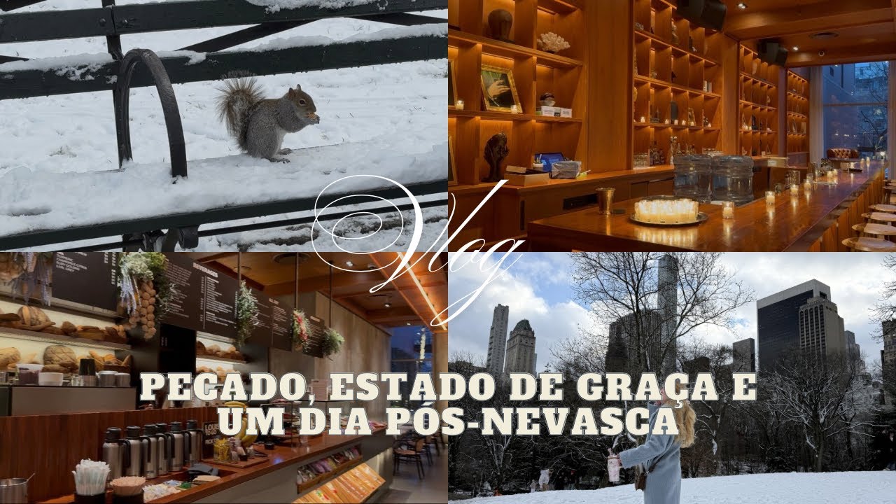 Pecado, graça e o caminho da confissão | Central Park pós-nevasca + Vlog