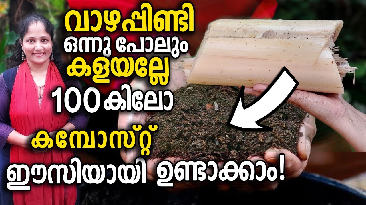 വാഴപ്പിണ്ടി കളയല്ലേ 100 കിലോ കമ്പോസ്റ്റ്  ഉണ്ടാക്കാം! | How to make FAST COMPOST using Banana Trunk