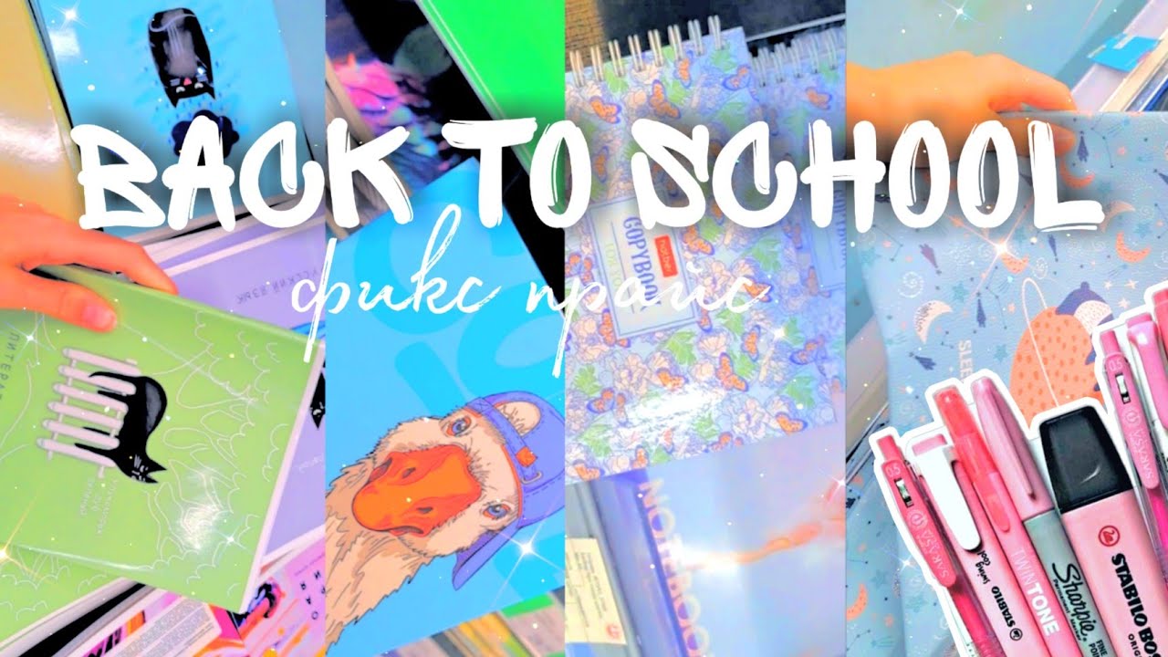 BACK TO SCHOOL / Эстетичная Канцелярия В Магазинах Петрозаводска / Фикс Прайс, Сигма