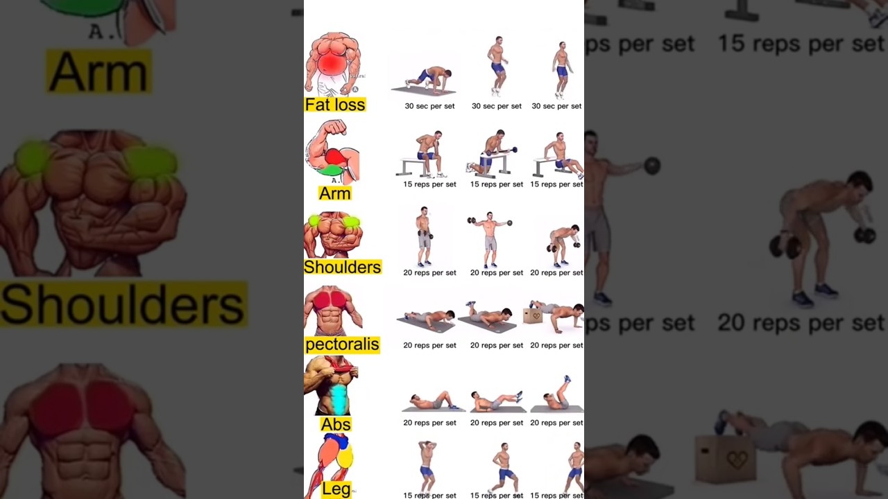 Full body workout 