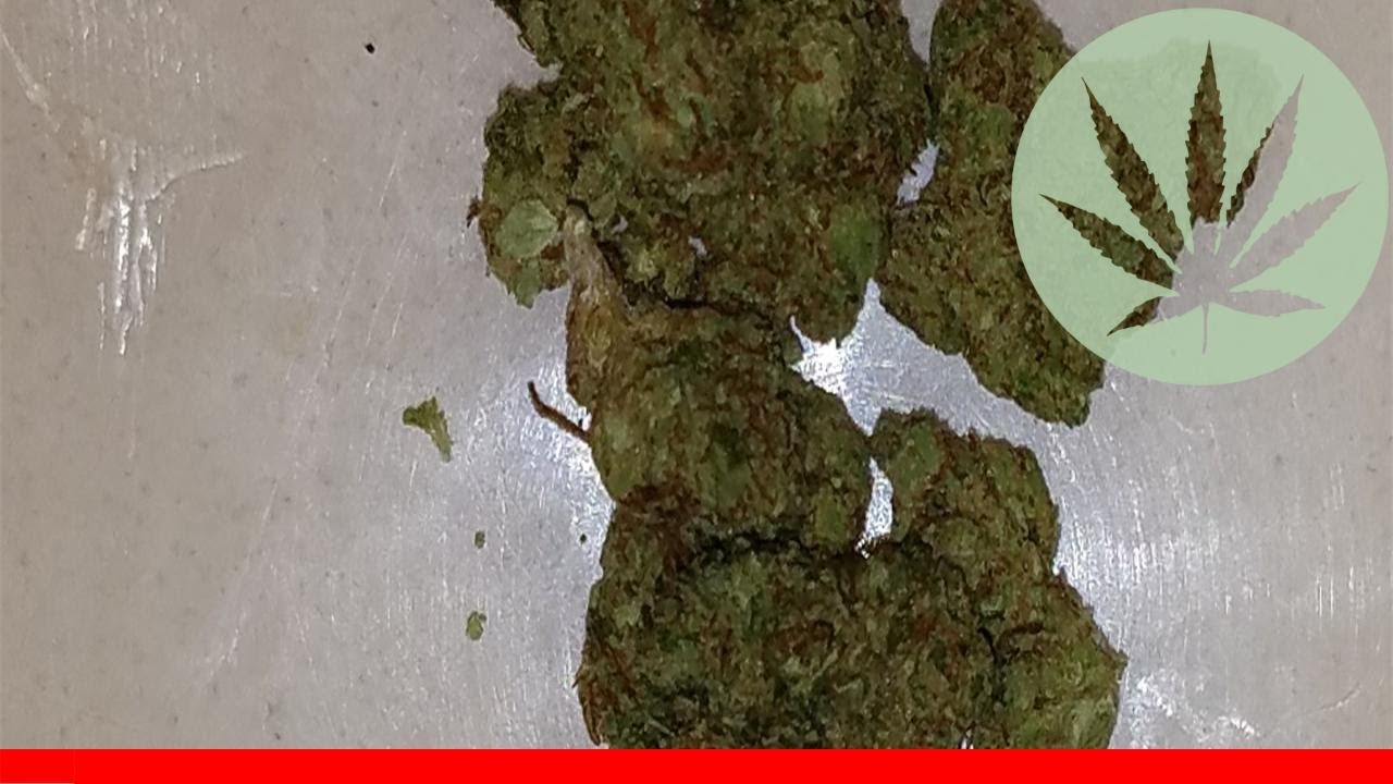 Chem Valley Kush - All About This Strain