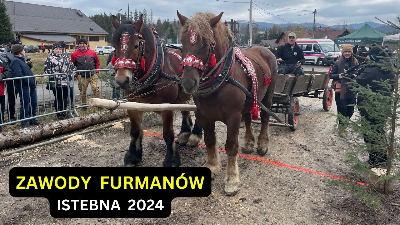 ZAWODY FURMANÓW - ISTEBNA 18.02.2024