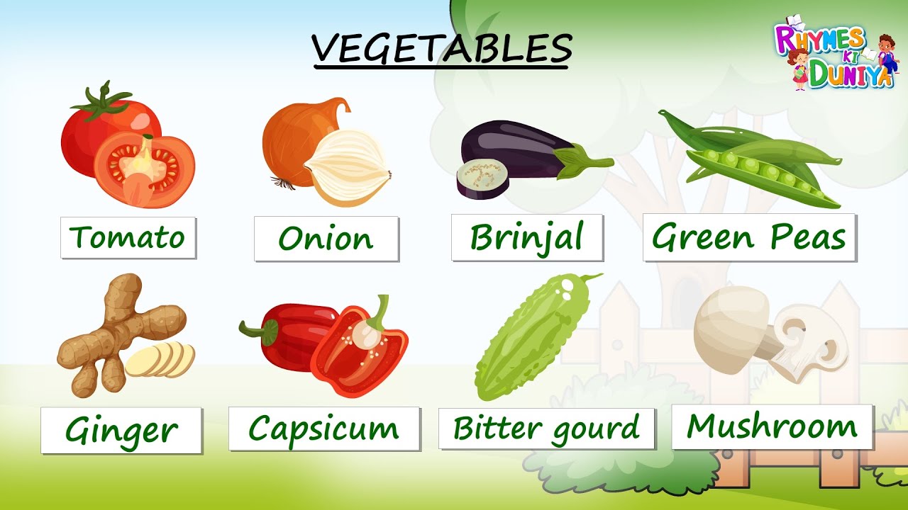 Vegetable Names with Pictures | Different Types of Vegetables | vegetables name in English | Kids