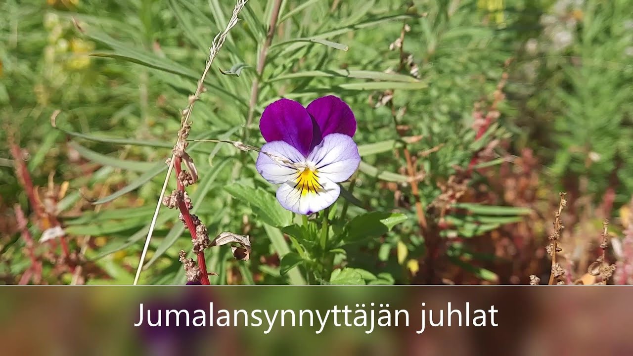 Jumalansynnyttäjän juhlat