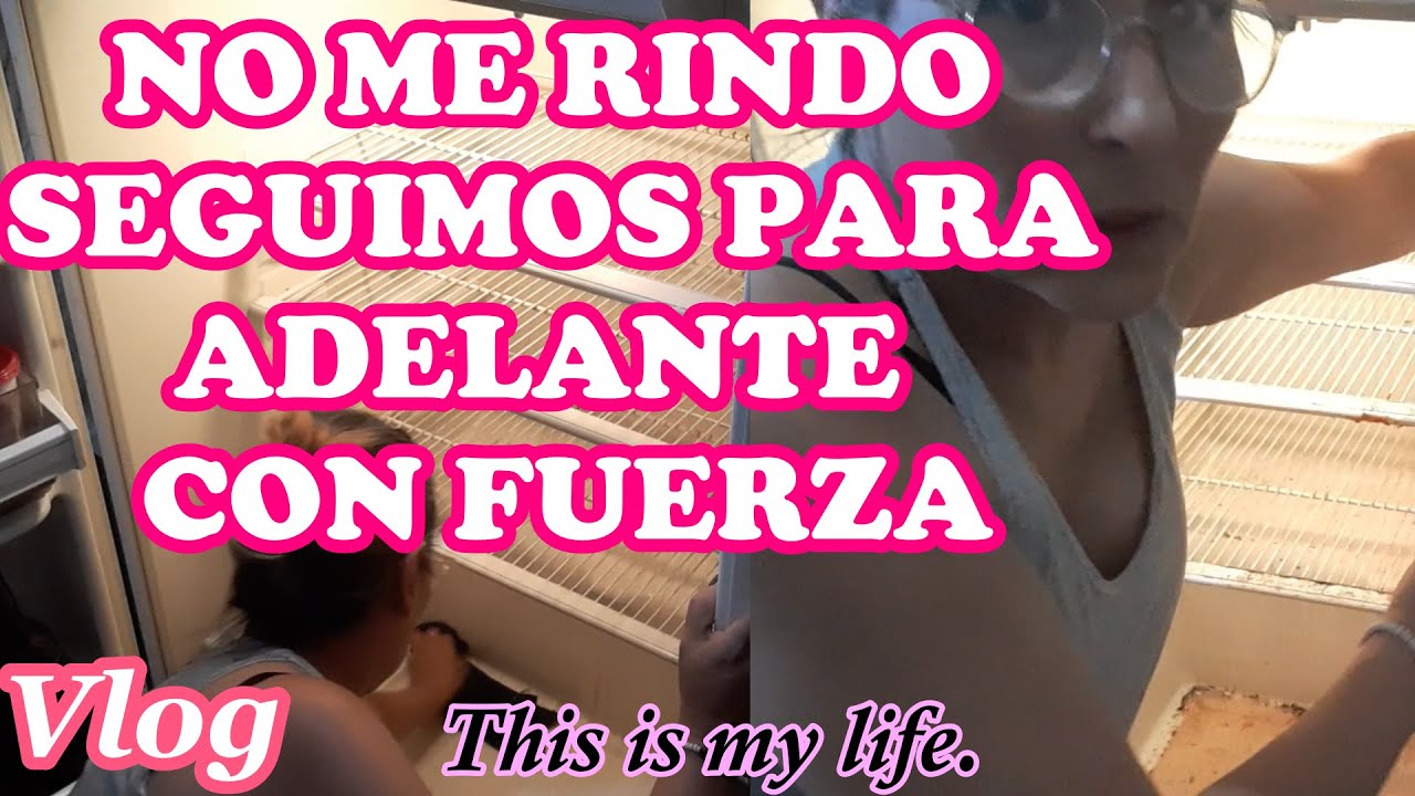 LO QUE ME DIJERON EN EL JUZGADO Y LA MUNI ⚖️ Heladera pobre pero limpia ( Vlog realidad )