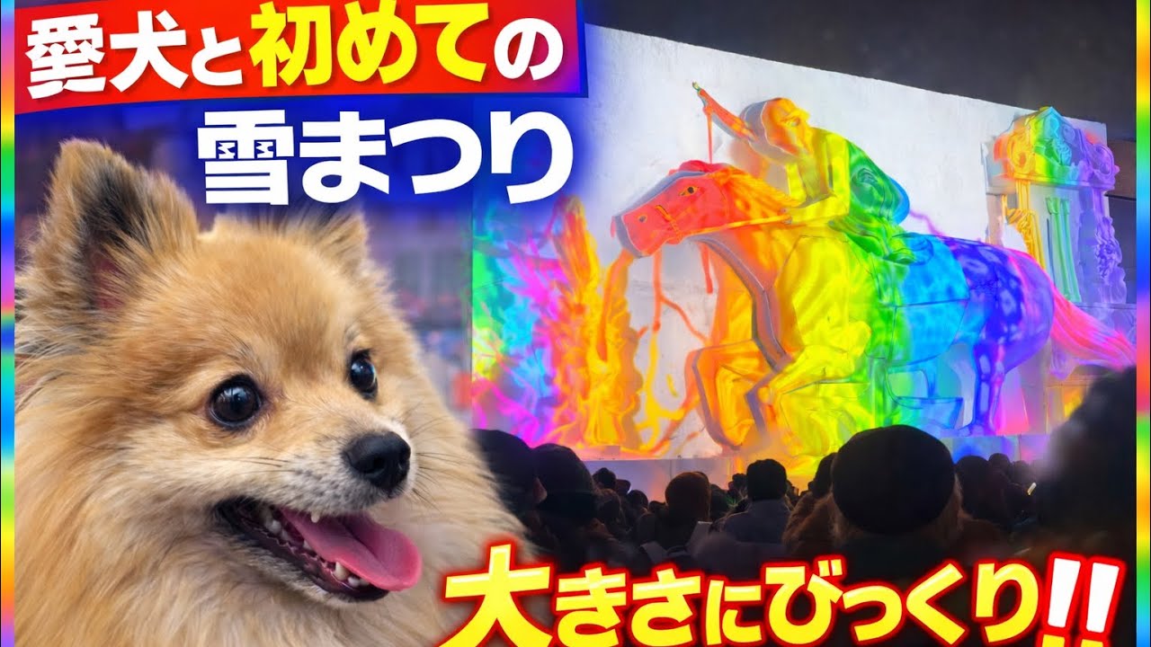 愛犬、初めての札幌雪まつりで大興奮！最高すぎた！