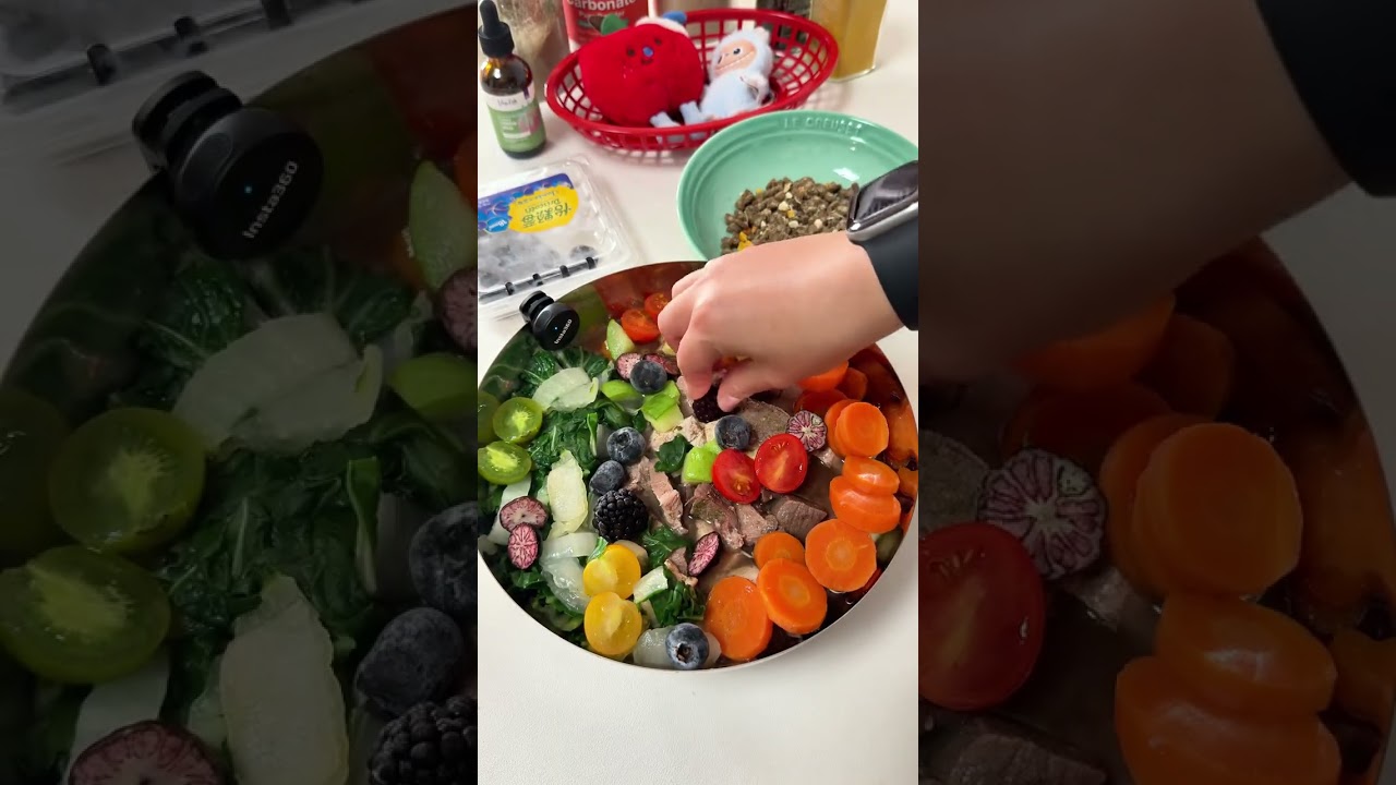 vlog.138 ble Dog family immersive meal preparation#Immersive pet meal planning#Homemade do