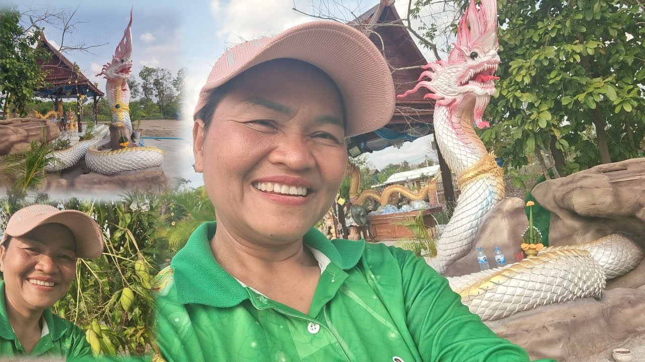 รอใครมาวังปู่ข่าวดีเลี้ยงทั้งนา?ใครทำครัวใหม่บ้านป้า,เจอสิ่งนี้ในสวนหย่อม?ส่องมะม่วงบ้านใครดกจัง?