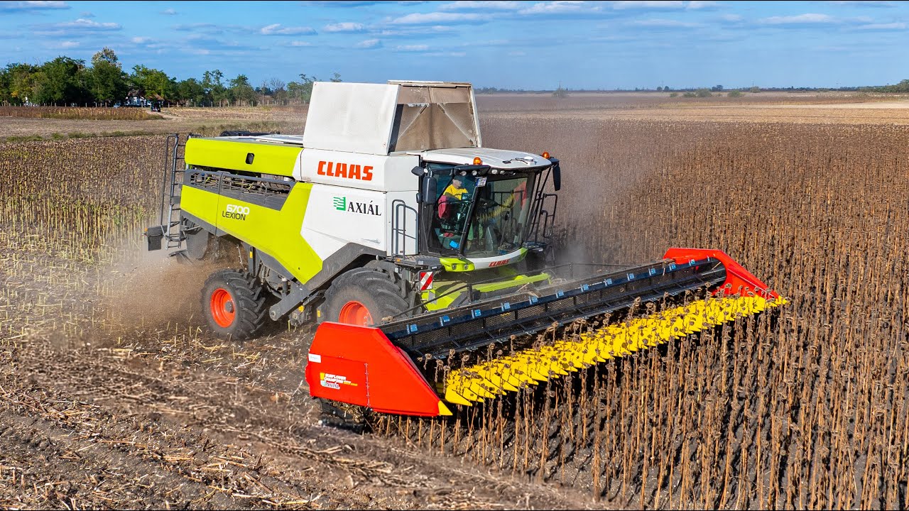 Claas Lexion 6700 + Ziegler Sunmaster Proline 935 | Napraforgó aratás 🌻