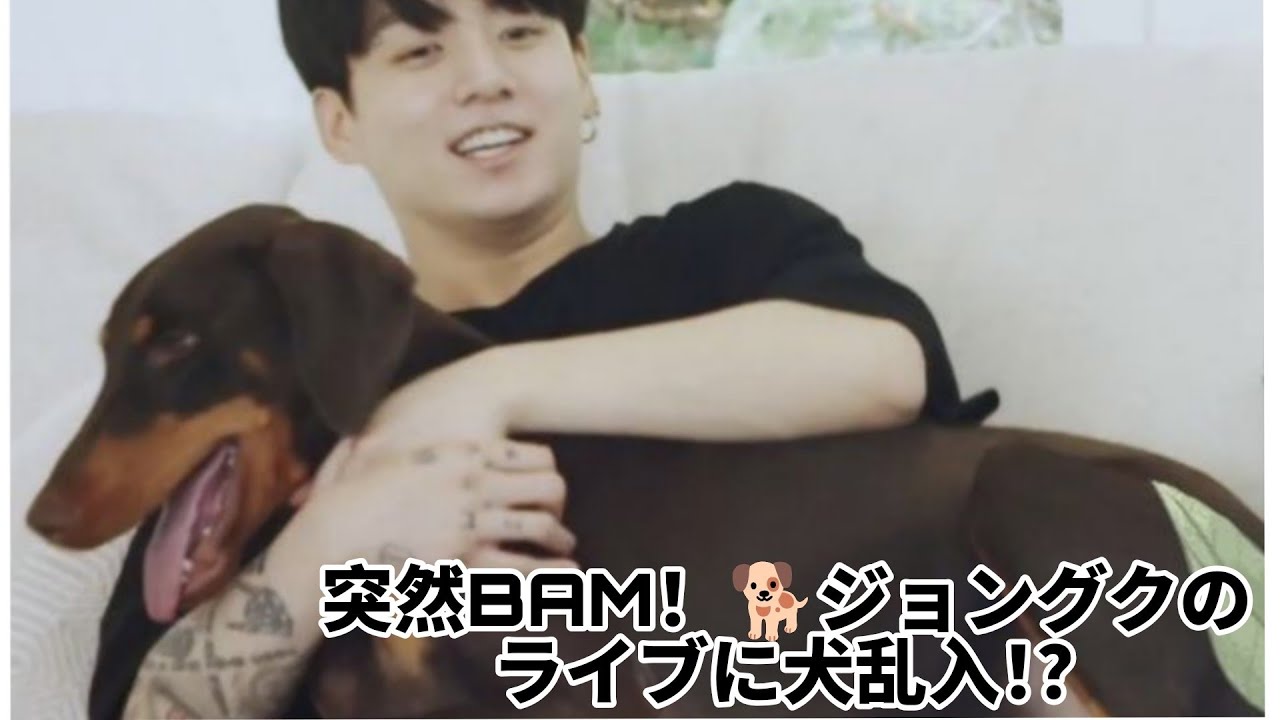 突然 BAM 🐕🐕！ジョングクのライブ配信に乱入 #ライブ