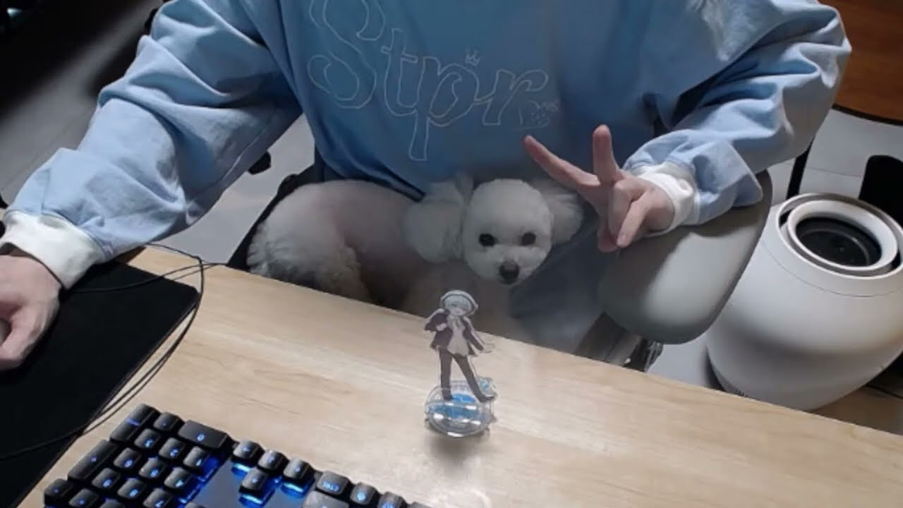 【✨誕生日記念実写✨】ころんお誕生日カメラカウントダウン放送🎂！