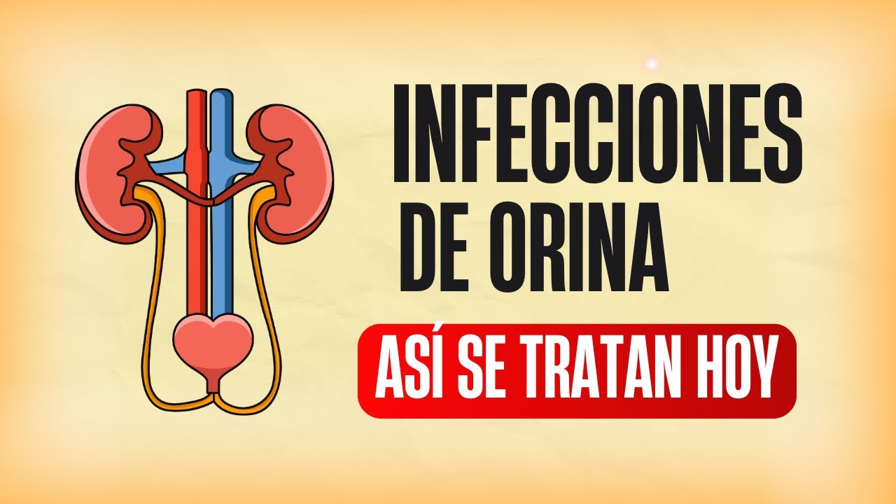 🚨 Infecciones de orina: mitos y verdades que debes saber