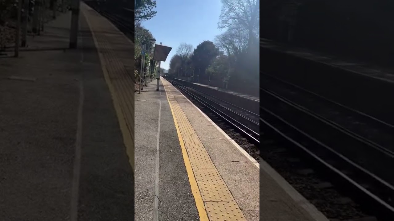 Class 377 zooms through Boxhill & Westhumble with 2 tone