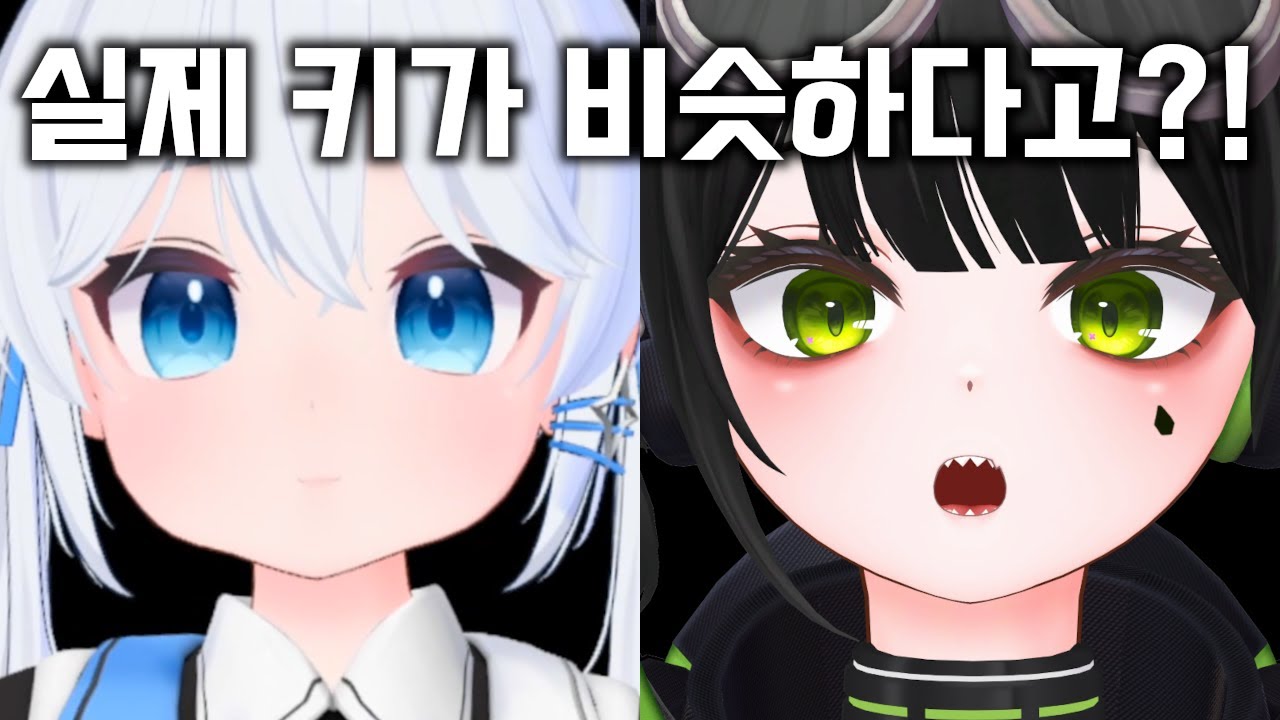 주피셜) 고세구 쵸로키 실제 키 비슷하다