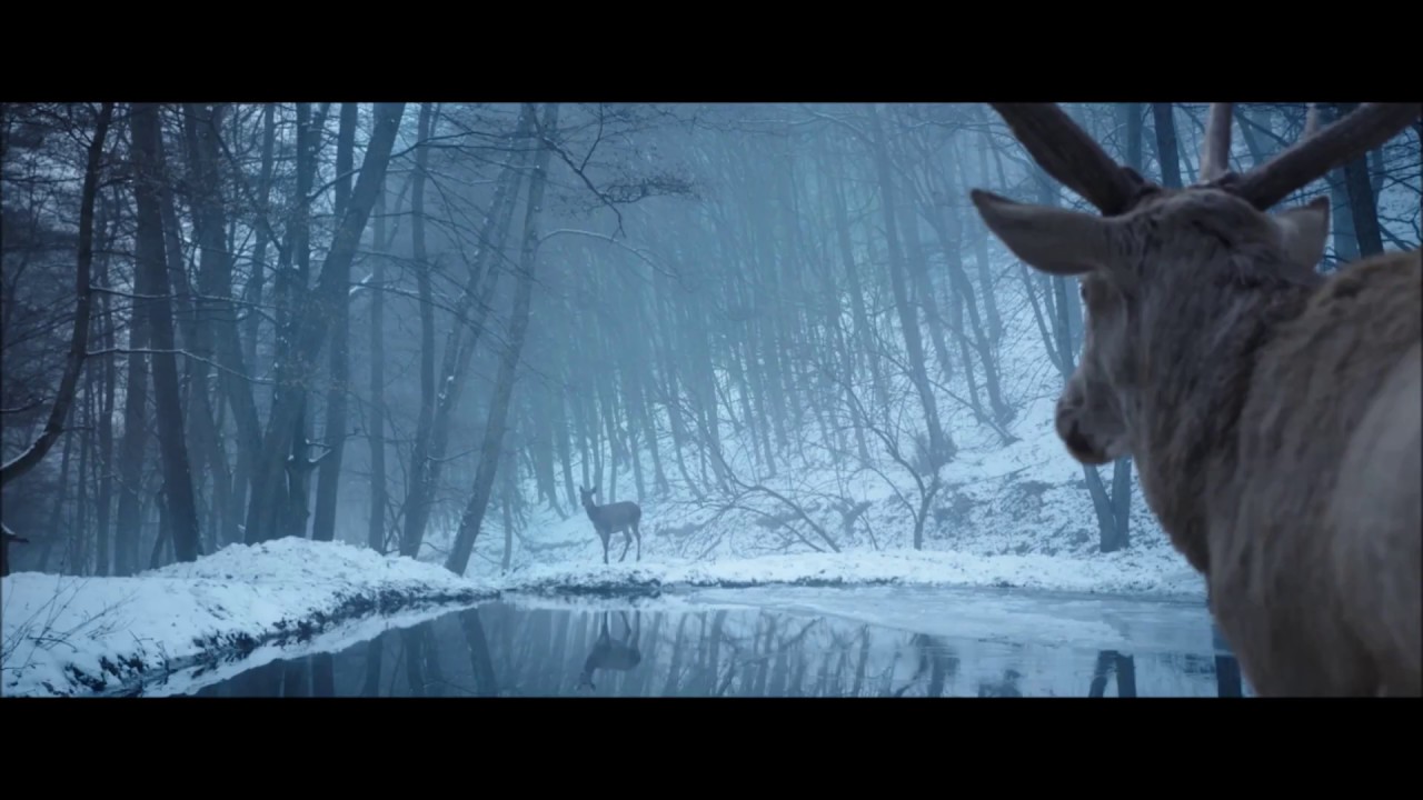 Beden ve Ruh Filmi - R&uuml;ya...