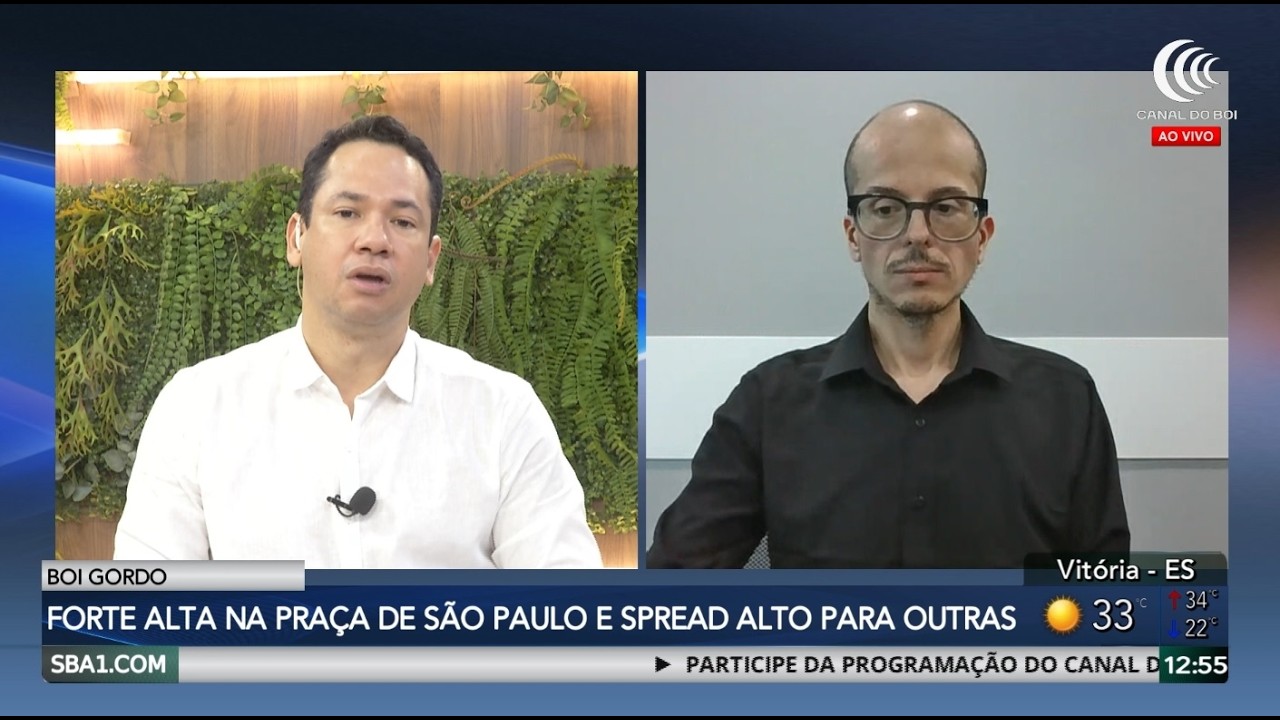 Mercado do boi gordo com forte alta e escalas de abates curtas