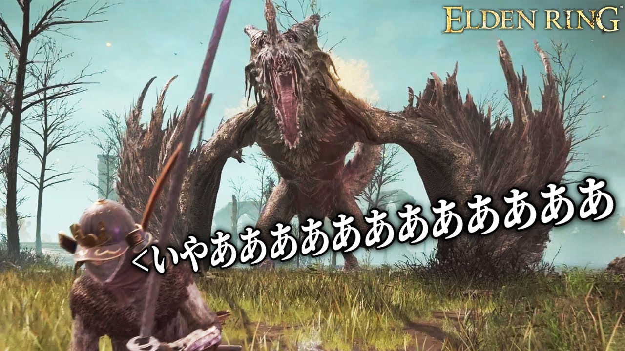 1ミリも知らない男が泣いた超高難易度の死にゲー｜ELDEN RING - エルデンリング - #２