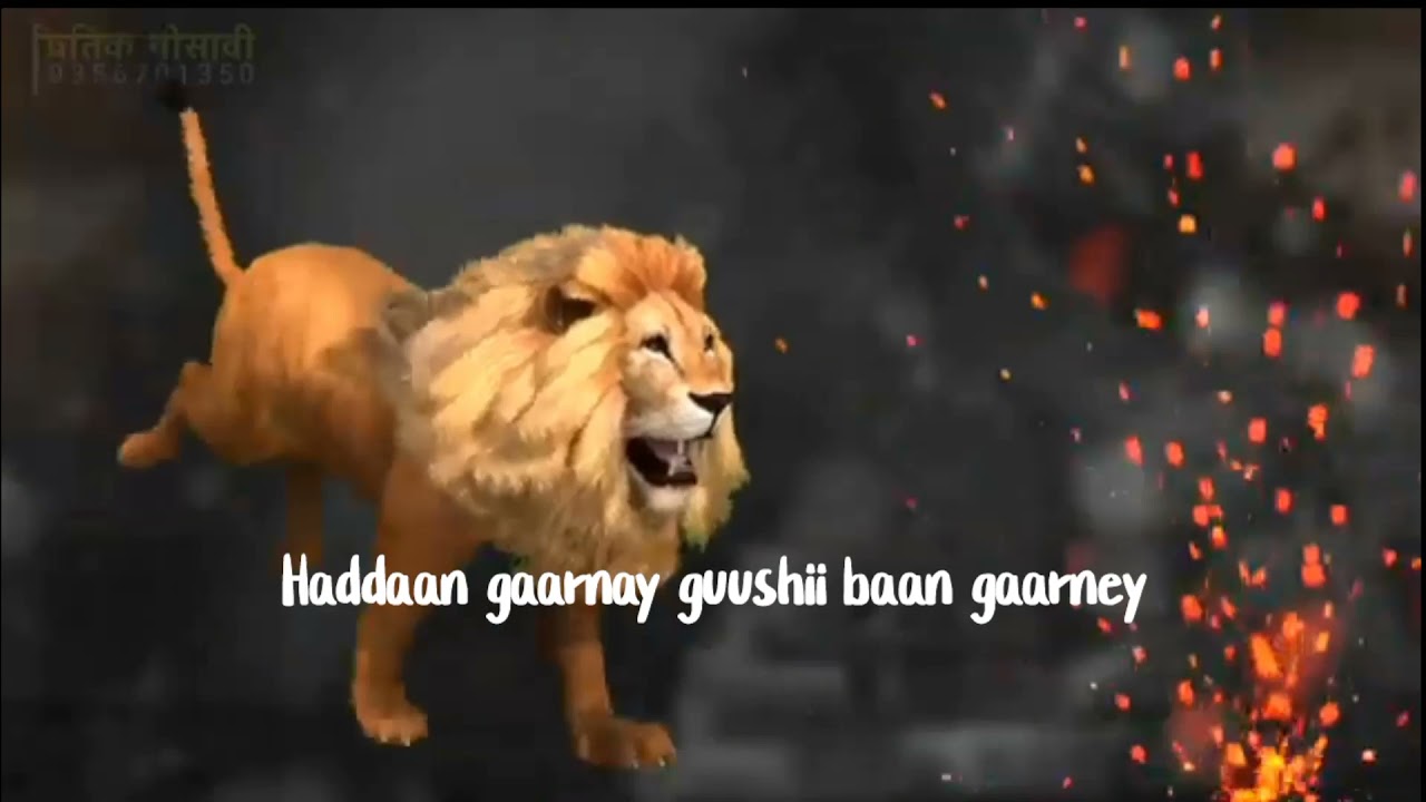 {Hees Cusub Ilka case  Axmad jabiye 