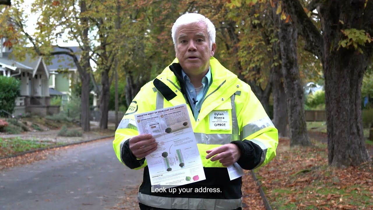 How to prepare for Leaf Day in Portland