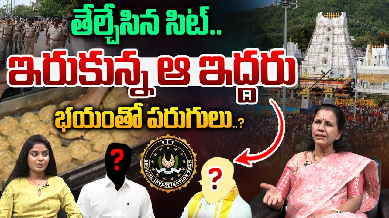 SIT Revealed Sensational Facts In TTD Adulterated Ghee Case : తేల్చేసిన సిట్.. ఇరుకున్న వైవీ | WWT