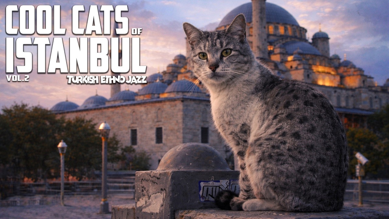 Cool Cats of Istanbul — Turkish Ethno Jazz Fusion (Vol.2) | World Jazz Lounge