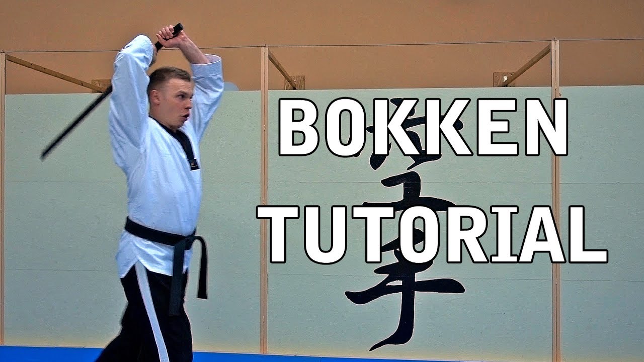 Bokken Tutorial - Der gerade Schnitt - Grundtechnik