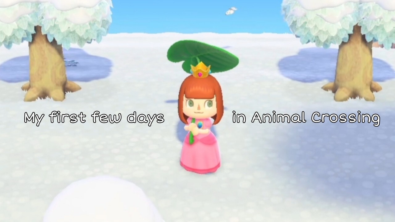 Starting my Animal Crossing island 🏝