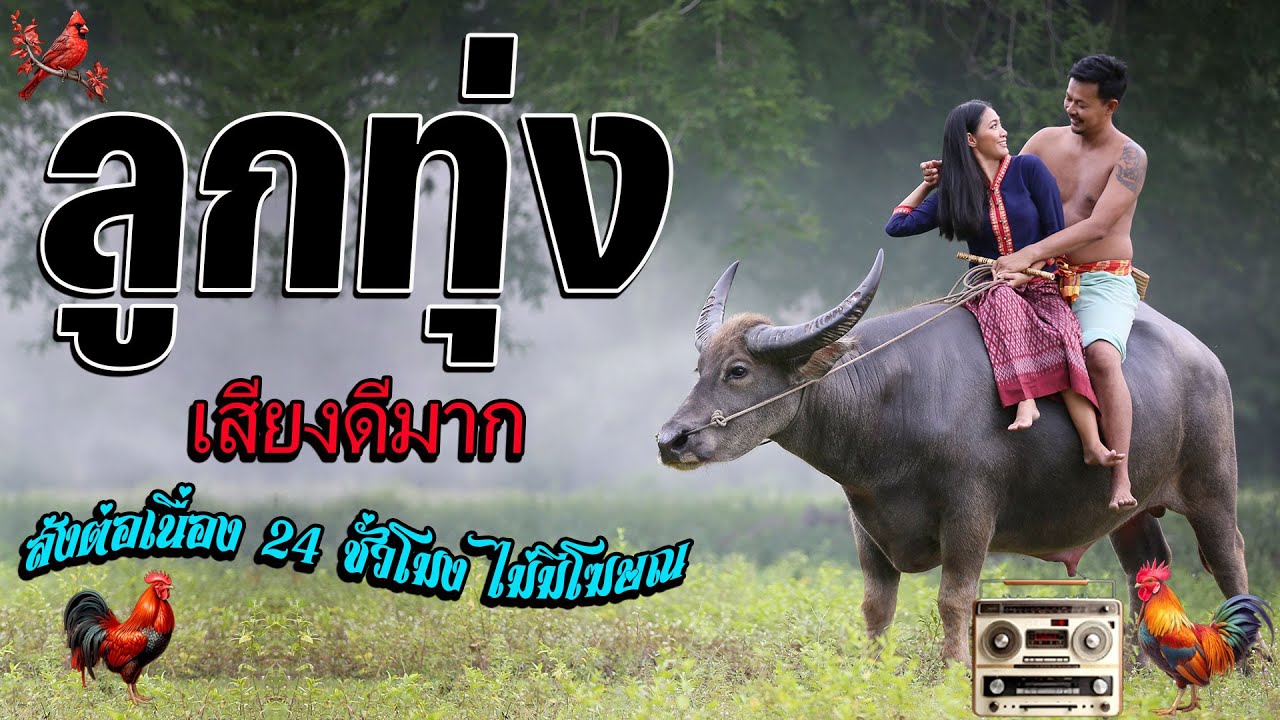 ลูกทุ่งเพราะมาก ลูกทุ่งเพลงเพราะ100% คัดมาพิเศษ ฟังต่อเนื่อง 24 ชั่วโมง