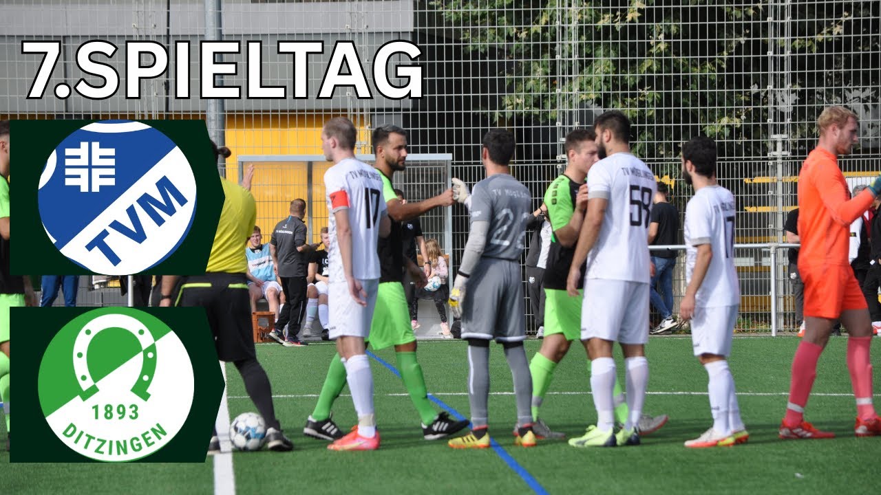 SAISON 2022/23: KREISLIGA A2: SPIELTAG 7: TV M&Ouml;GLINGEN VS TSF DITZINGEN (16.10.22)