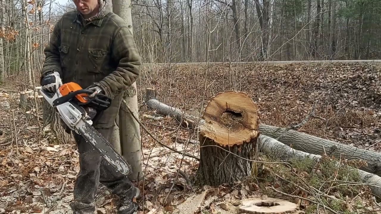 Ported Stihl 026.