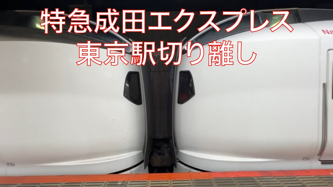 【切り離し】特急成田エクスプレス大船・新宿行き　東京駅発車