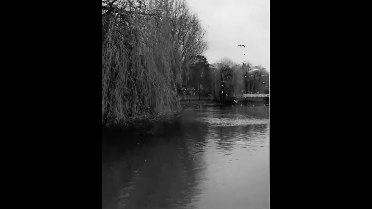 5 березня 2026 р.