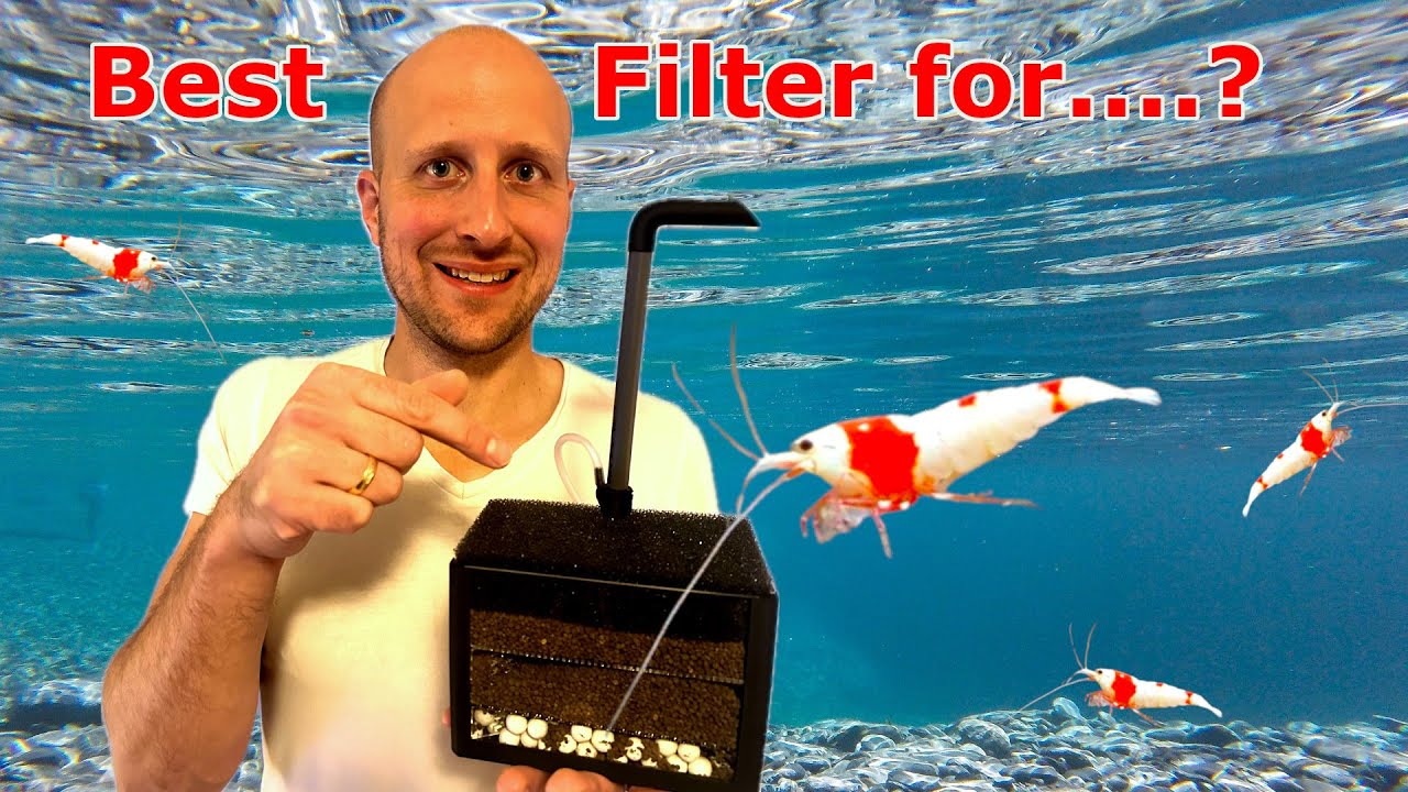 Undergravel Filter Box (UGF) -The best Filter for Caridina shrimps?