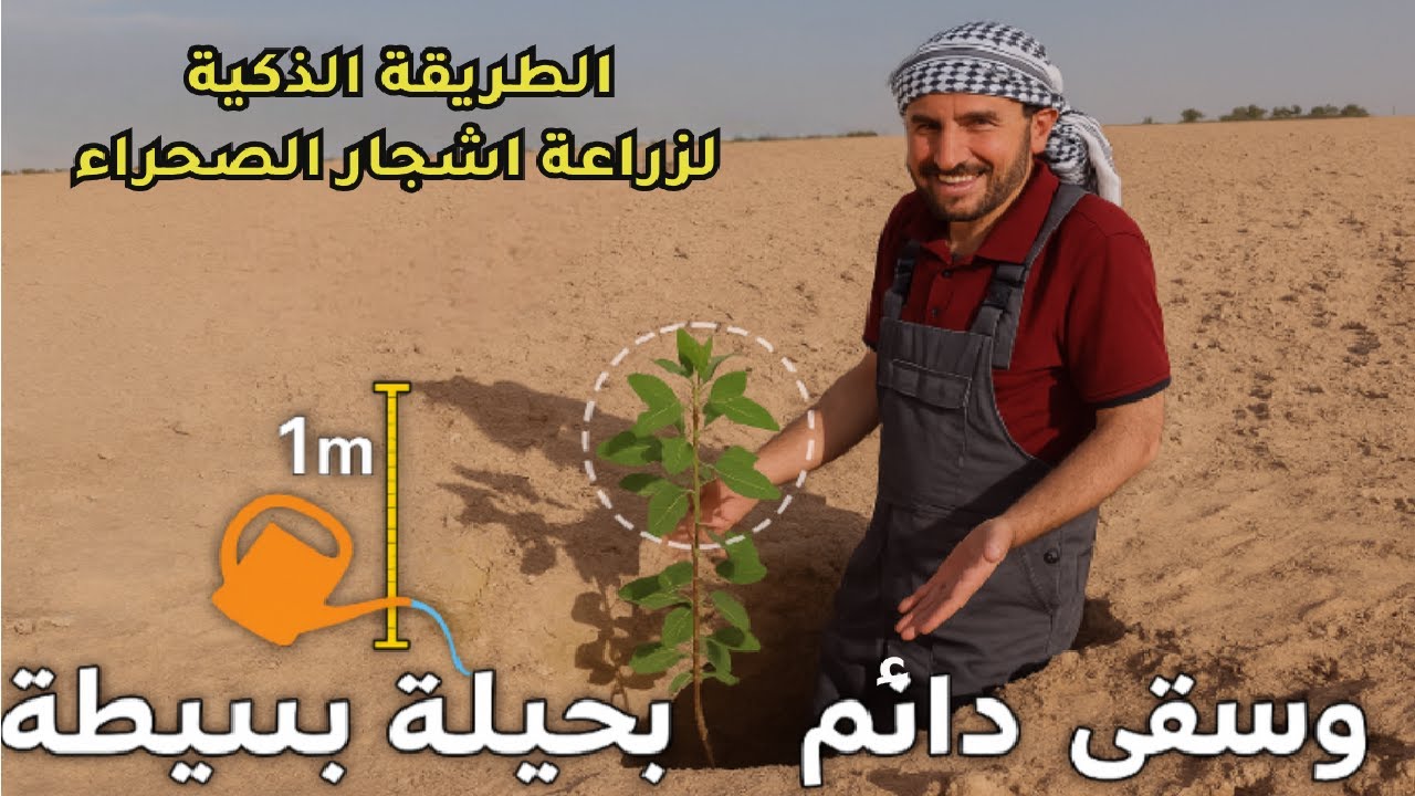 زرعت شجرة وسقيتها مرة واحدة فقط... كيف تحصل على الماء من مصدرين مختلفين ؟