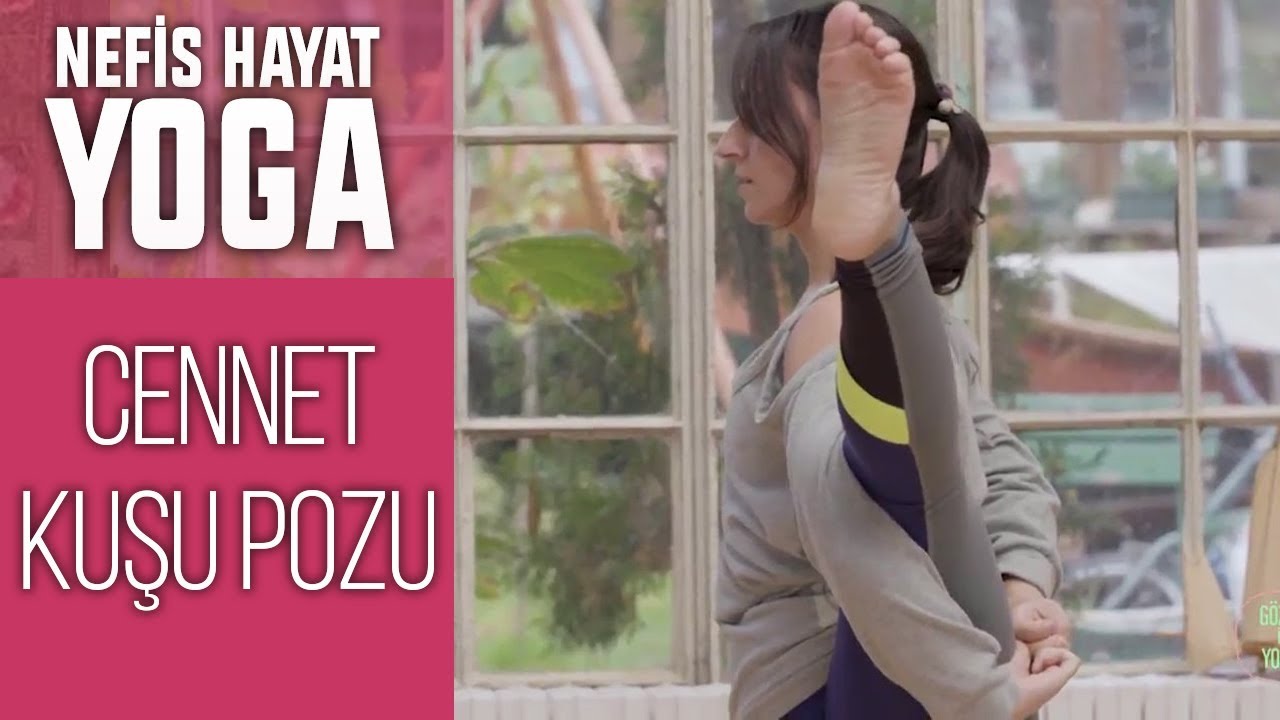 SVARGA DVIJASANA | Dengeyi Geliştiren, Kalçayı ve Hamstringi Esneten Duruş | Gözde İle Yoga