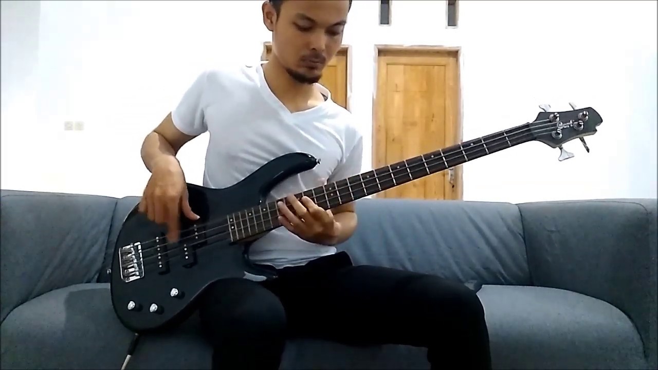 ALMOST EASY bass cover (dropped D tuning)