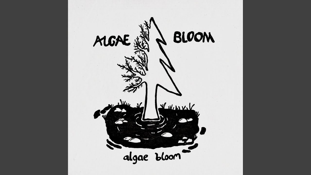 Algae Bloom