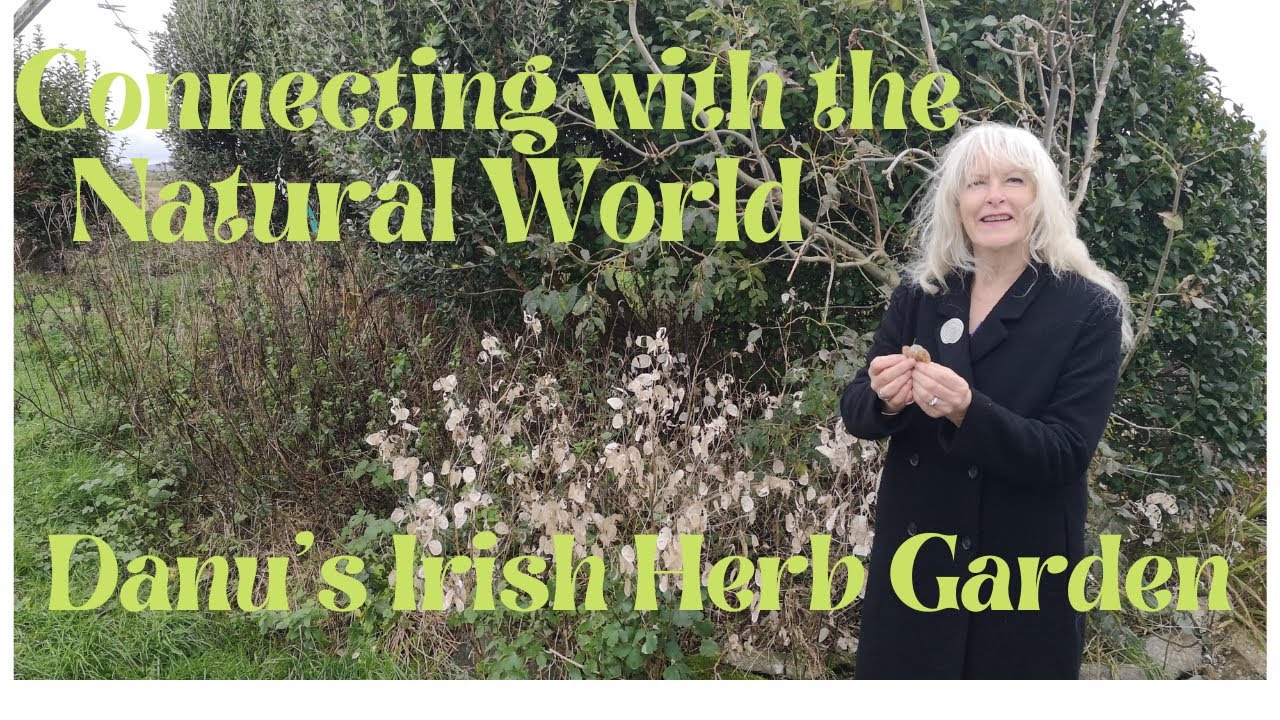 Connecting With The Natural World