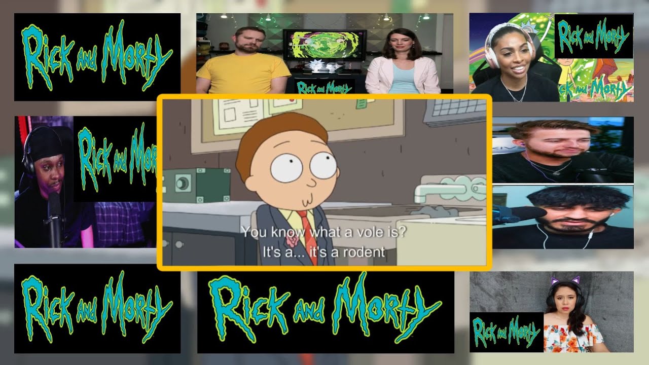 Rick and Morty Season 1 Episode 6 (Reaction Mashup)