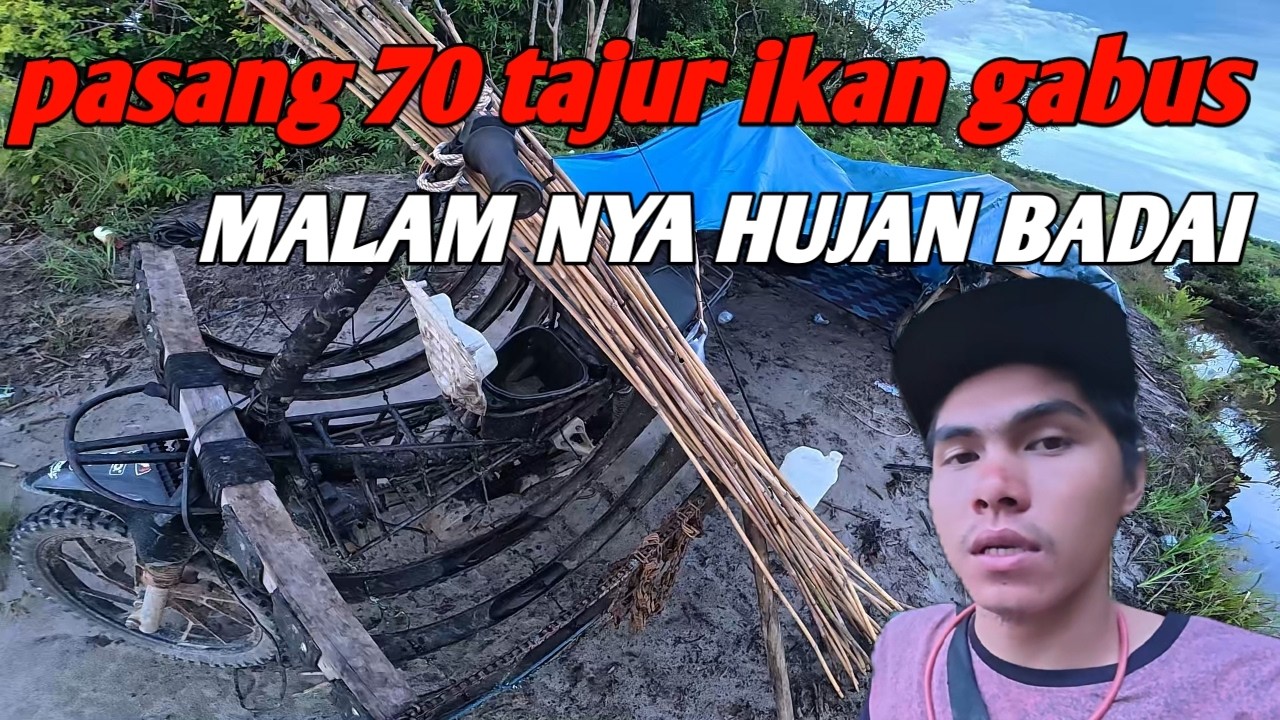 PASANG 70 TAJUR GABUS SPOT PT KELAPA SAWIT