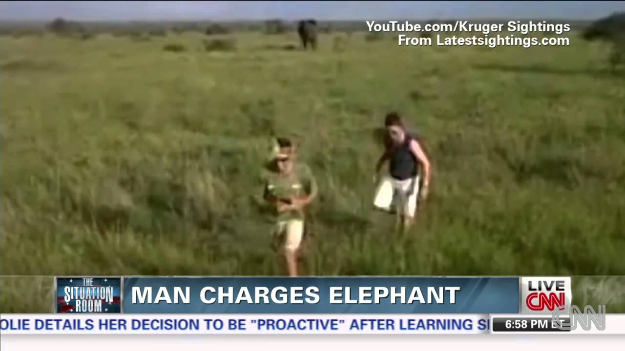 Man charges elephant, loses job